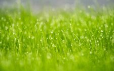 Residential lawn sprinkler repair in texas